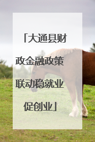 大通县财政金融政策联动稳就业促创业